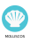 Mollusks